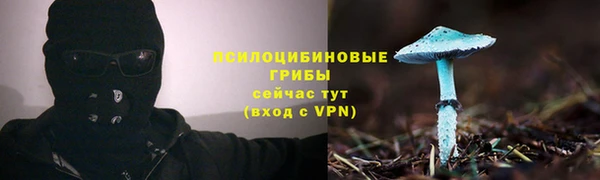 2c-b Богородицк