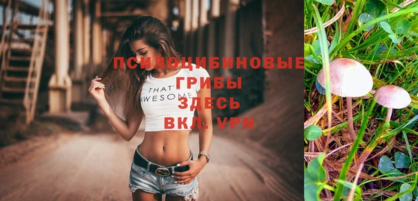 не бодяженный Нязепетровск