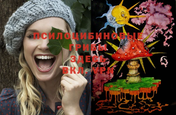 2c-b Богородицк