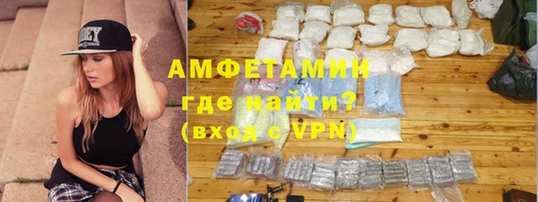сатива Няндома