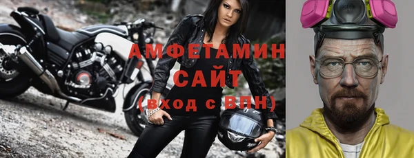 молекула духа Богородск